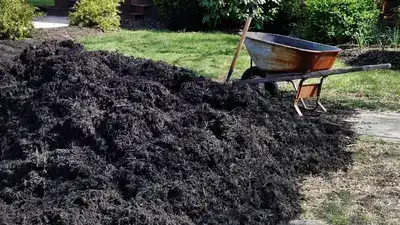Mulch delivery and installation in Rochester NY