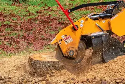 Stump grinding service in Rochester NY
