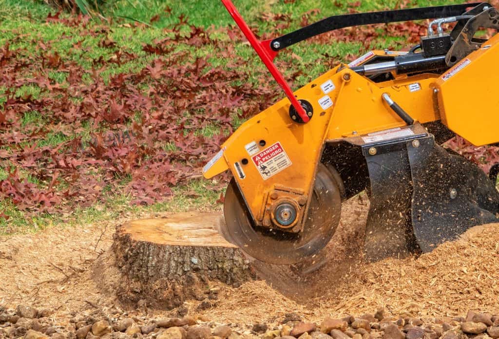 Stump grinding service Rochester NY