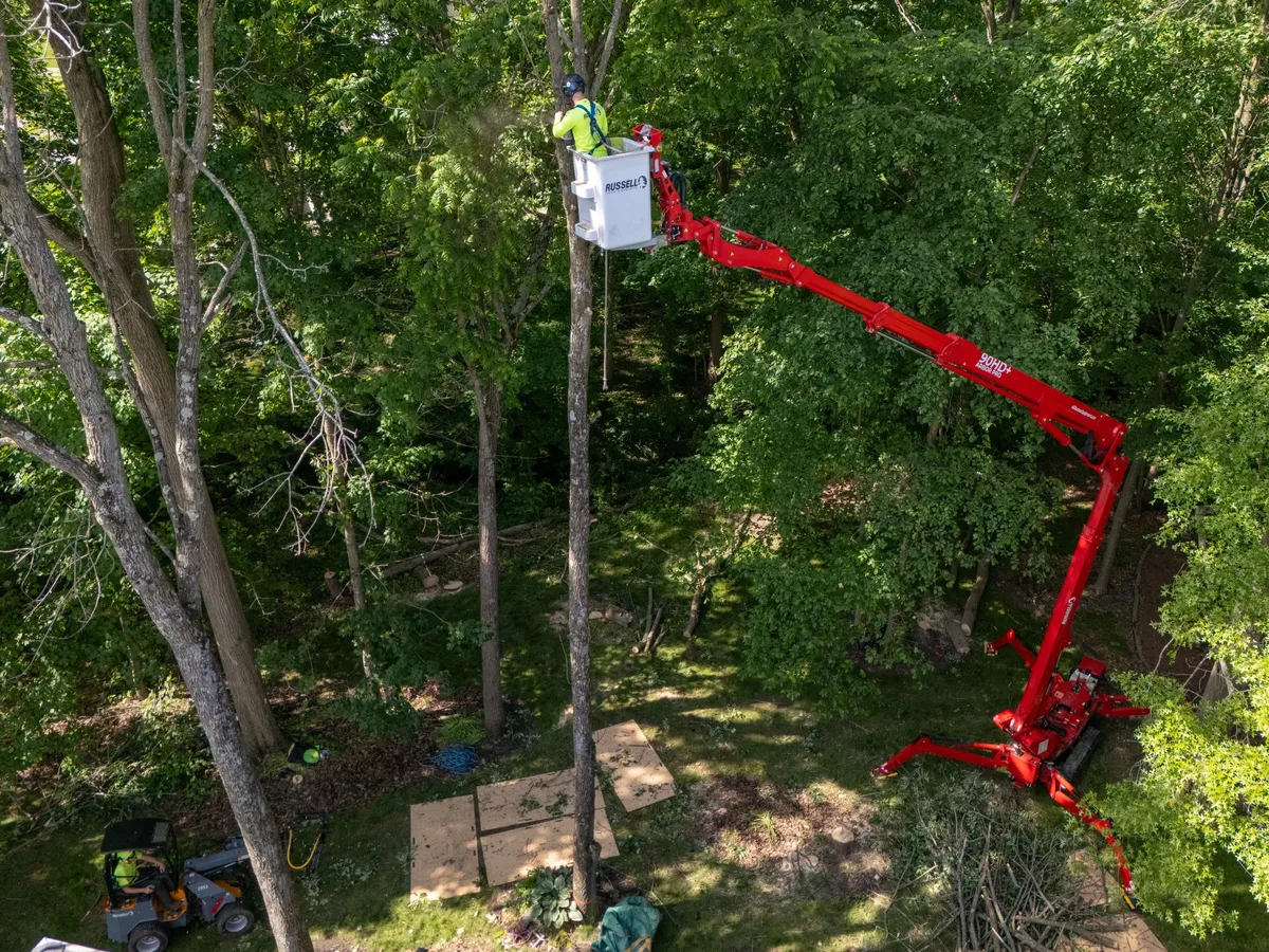 Tree trimming and pruning Rochester NY