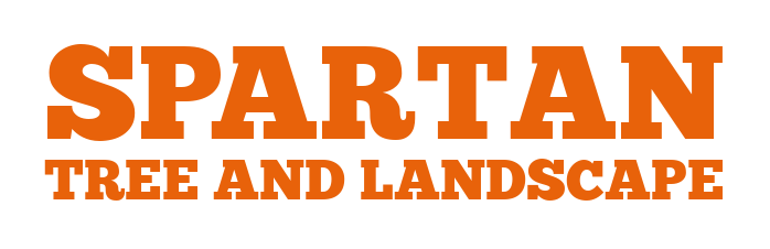 Spartan Tree and Landscape