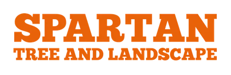 Spartan Tree and Landscape